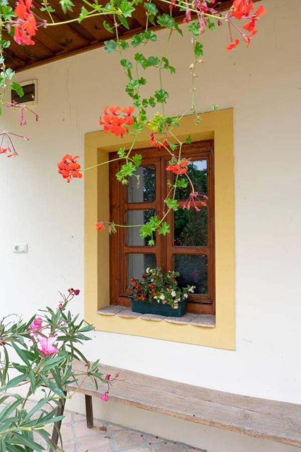 Koppány Lovasudvar Bakonykoppány Exterior foto