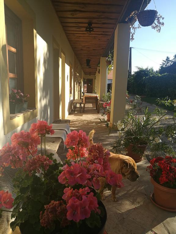 Koppány Lovasudvar Bakonykoppány Exterior foto
